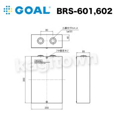 画像1: GOAL 【ゴール】BRSインテリジェントスマートリーダーシステム[GOAL-BRS602] (1)